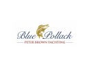 Blue Pollack